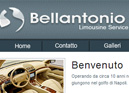 Bellantonio Limousine Service