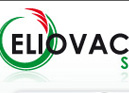 Eliovacsa