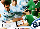 Los pumas en santa fe